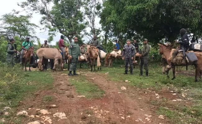 Medio Ambiente arresta 439 desaprensivos que depredaban el Parque Nacional Los Haitises