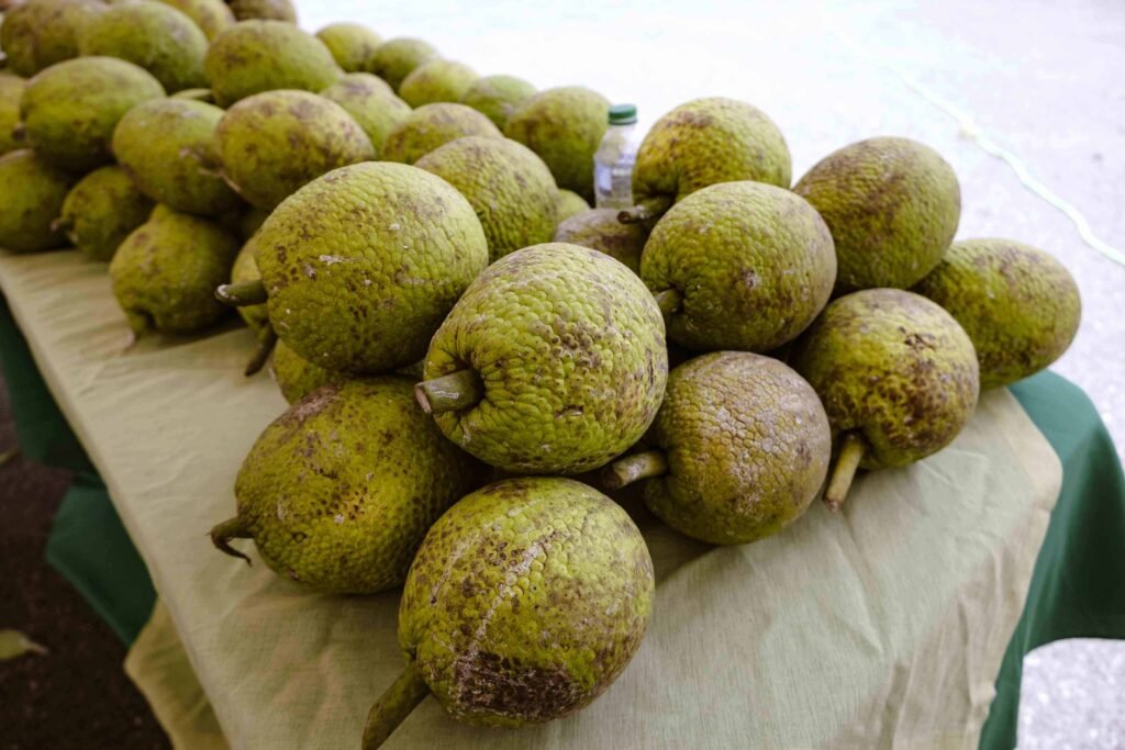 Buen pan de «comida para cerdos» a «superalimento» exportable para República Dominicana