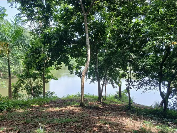 Humedales del Ozama: entre la belleza natural y las amenazas medioambientales