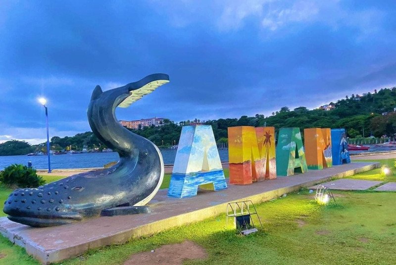 En Samaná proponen la industrialización del coco