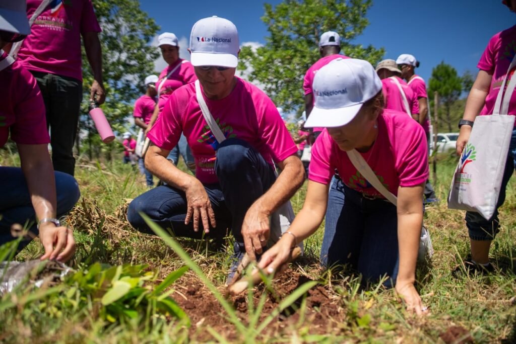 Colchonería y Mueblería La Nacional lleva jornada de reforestación en Loma Guaigüí, La Vega