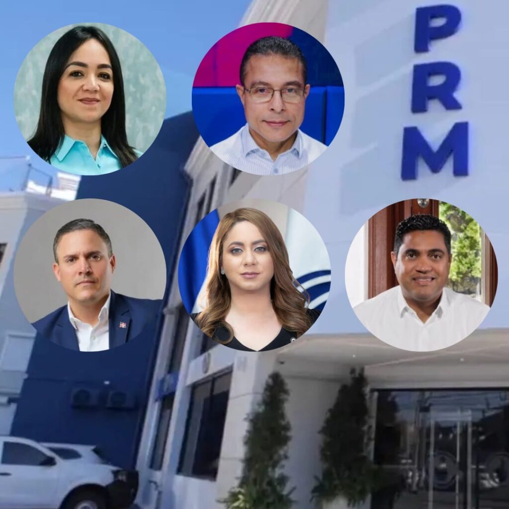 «Aspirantes a Secretaría General del PRM tienen veteranía en el campo político», afirma periodista