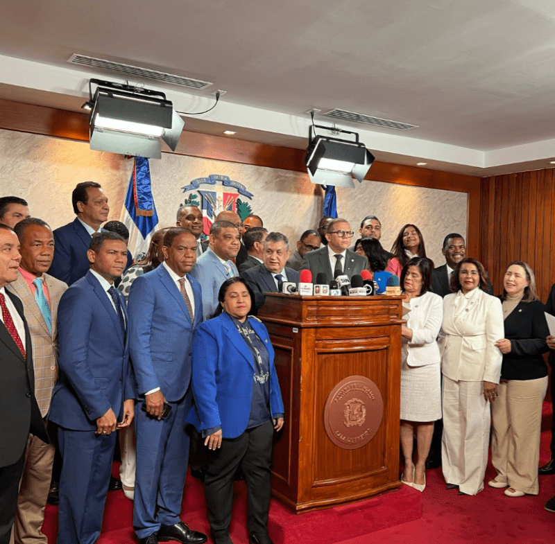 Diputados opositores someten proyecto para interpelar a Faride Raful y al director de la Policía