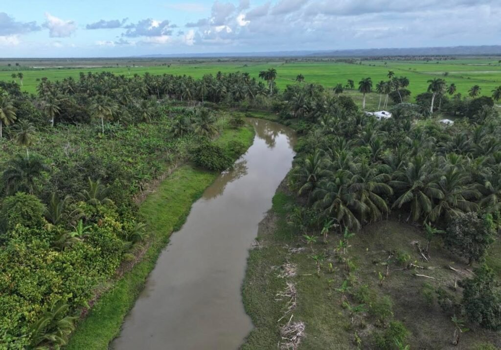 Encuentran dos cuerpos sin vida en distintos tramos del río en el municipio de Nagua