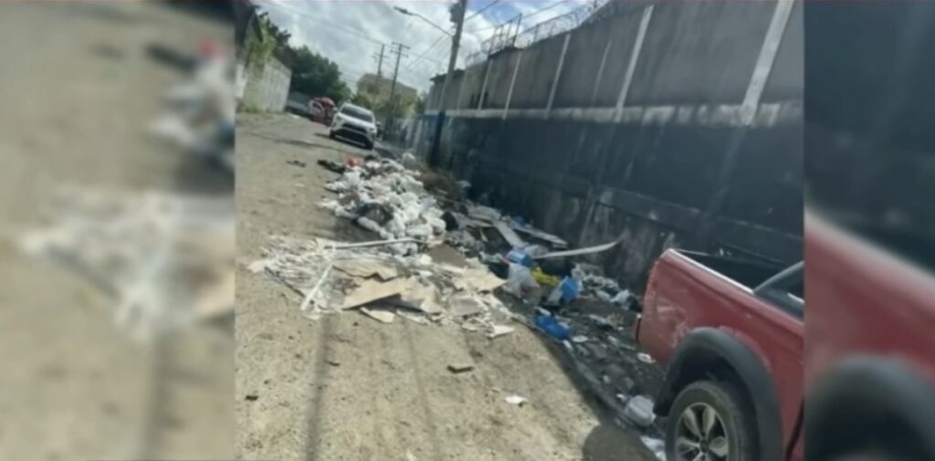 Residentes de Las Palmas de Herrera denuncian basurero que afecta salud y tránsito