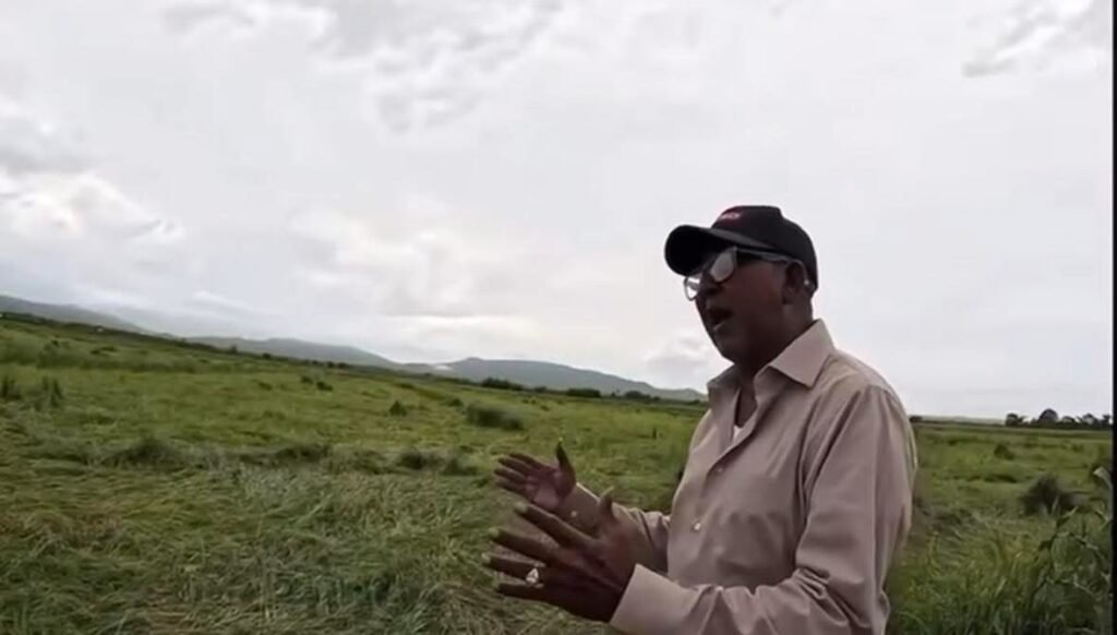 Productores arroceros de El Pozo claman por apoyo ante crisis que amenaza su sustento