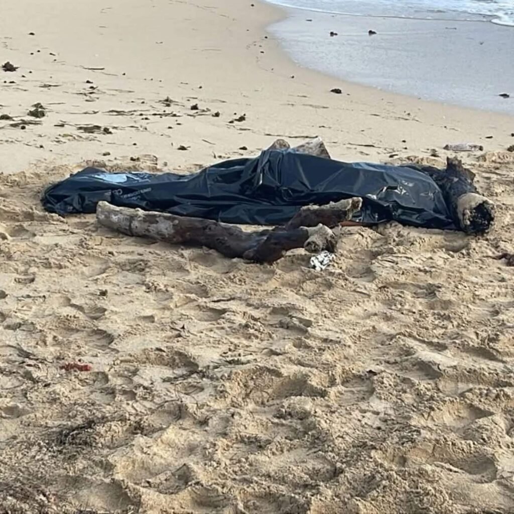 Hallan cuerpo de una mujer en la orilla de Playa Camacho, Puerto Plata