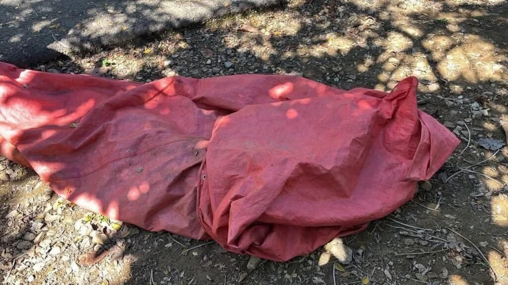 Hombre pierde la vida tras ataque de abejas en Navas, Puerto Plata