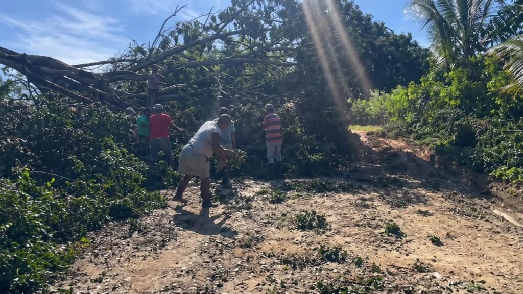 Ventarrón causa daños en comunidades de Arroyo al Medio y Las Gordas, en Nagua
