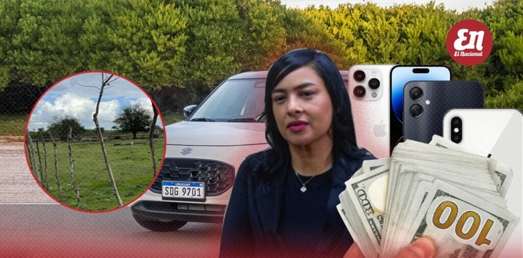 Vehículo, terreno y dinero: además de la prisión, los bienes que deberá devolver madre de menor caso Wander Franco