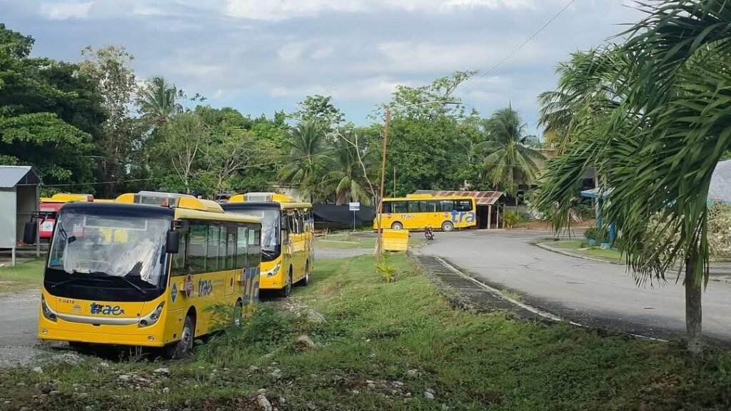 Denuncian abandono de autobuses escolares del sistema TRAE en Samaná