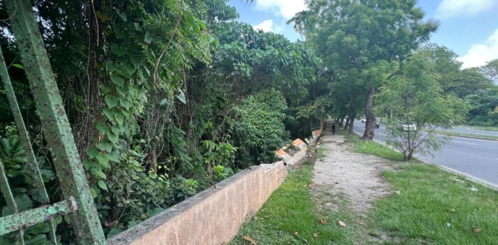 Una verja de oro | ¿RD$47 millones por 101 metros de verja? Licitación del Mirador Norte genera interrogantes y levanta sospechas