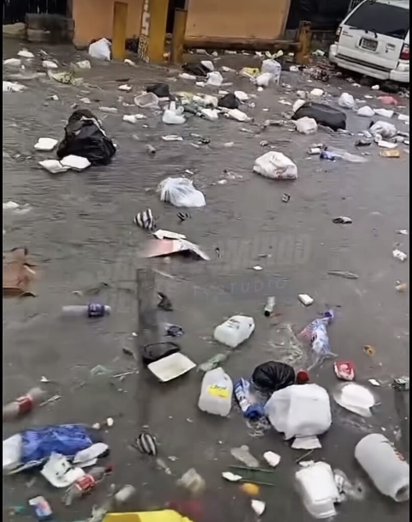 Comunitarios de Las Palmas de Herrera piden solución definitiva a inundaciones de la cañada de Guajimía.
