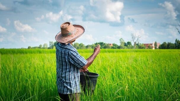 Nagua: la productividad empieza en el agua