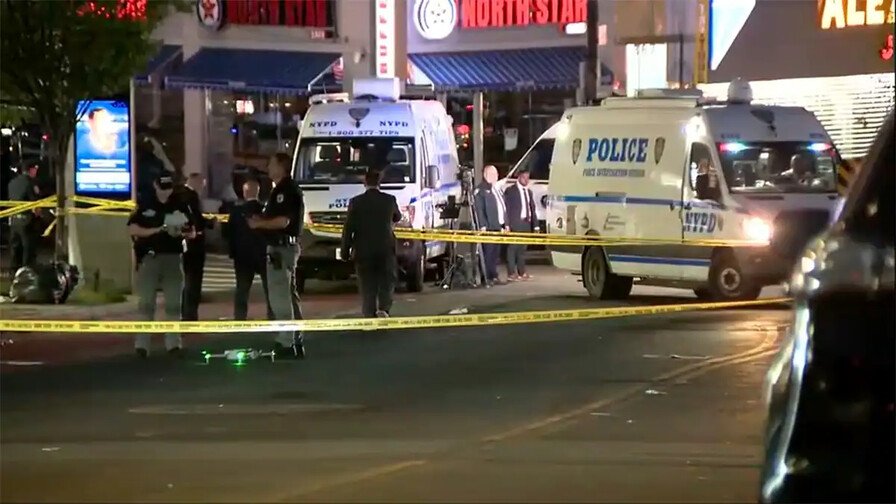 Hombre muere tras caer de la plataforma de un tren en El Bronx