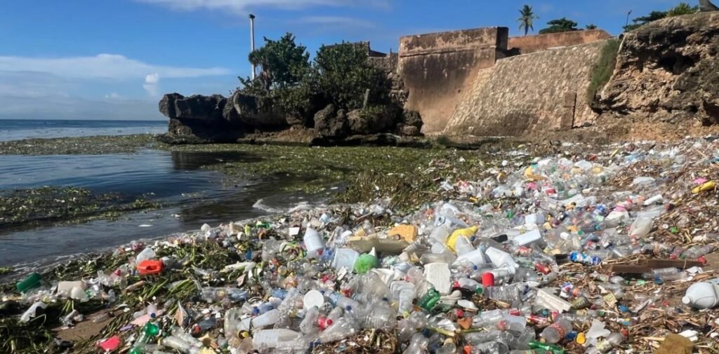 La trampa natural que atrapa la basura que arrastra el río Ozama hacia el mar Caribe
