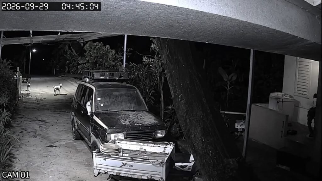 Horror en Jobo Claro: hombre es acusado de matar a una mujer y dar por muerta a su hija, quien sobrevivió al ataque