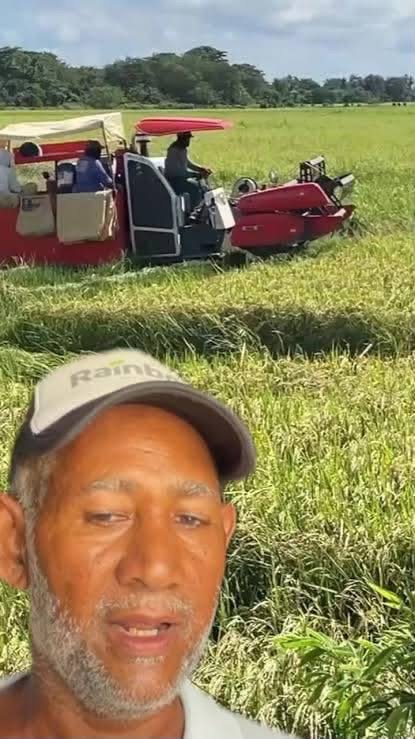 Productores de arroz de El Pozo denuncian falta de apoyo gubernamental y pérdidas en sus cosechas